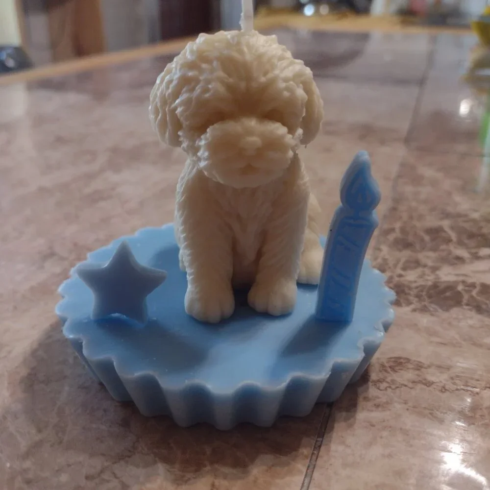 Happy Birthday to my Doggy Candle